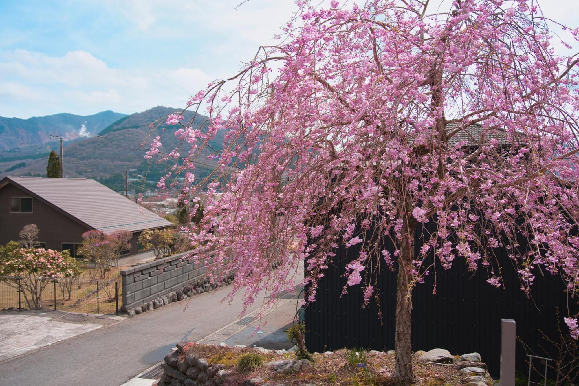 Hotel Root Hakone Extérieur photo
